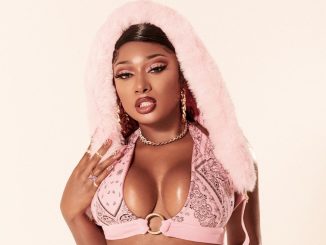 Megan Thee Stallion is set to host the 2024 VMAs